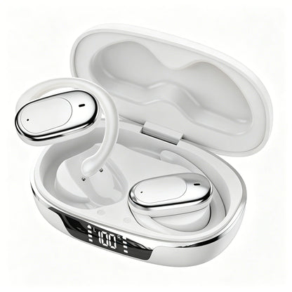 Bluetooth 5.4 Sports Wireless Earhook Headphones